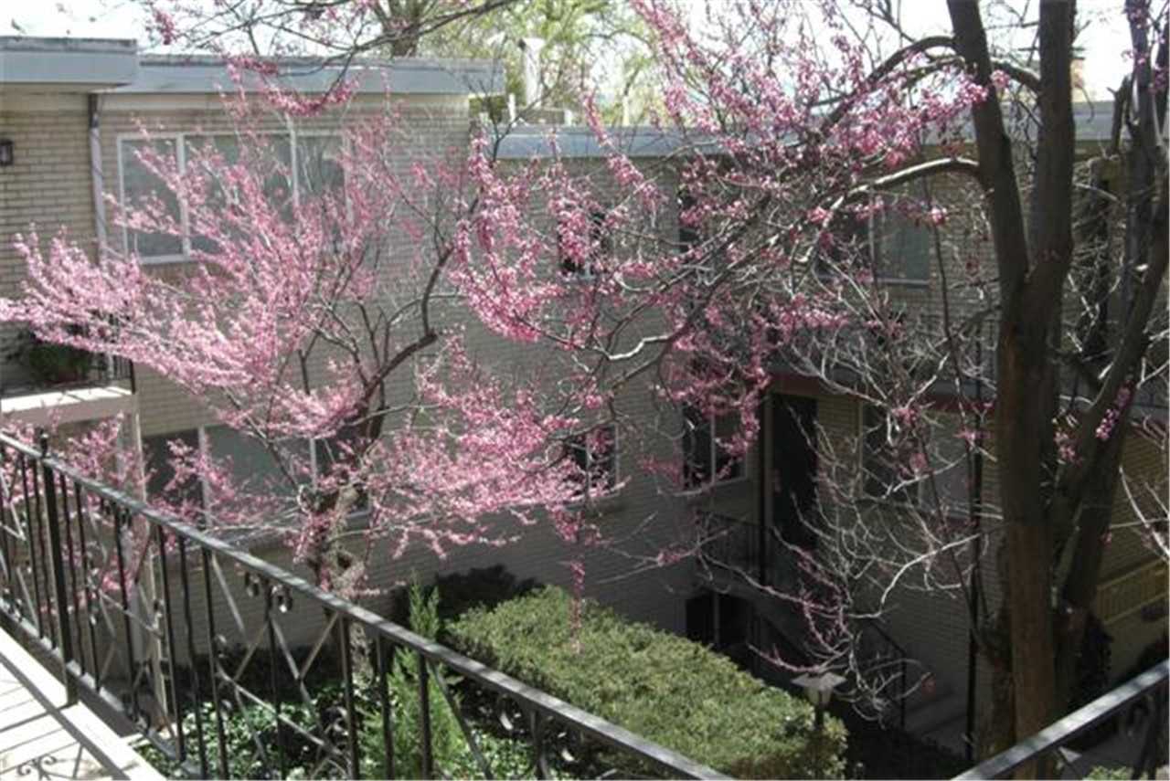 561 E 4th Ave - Photo 2 of 7