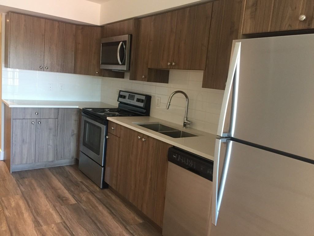 The Dalip - Photo 7 of 11