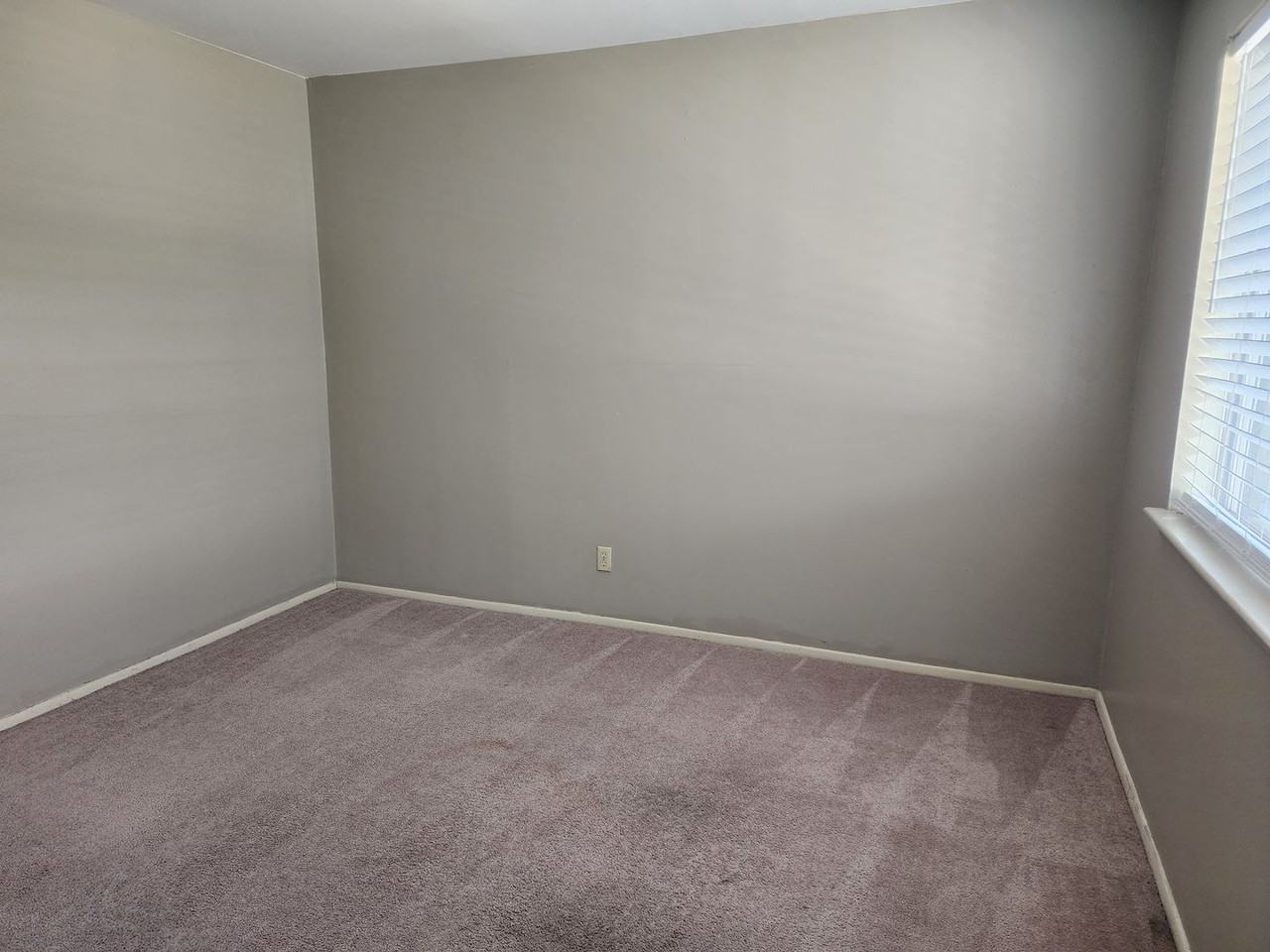 The Curry House Apartments! - Photo 4 of 22