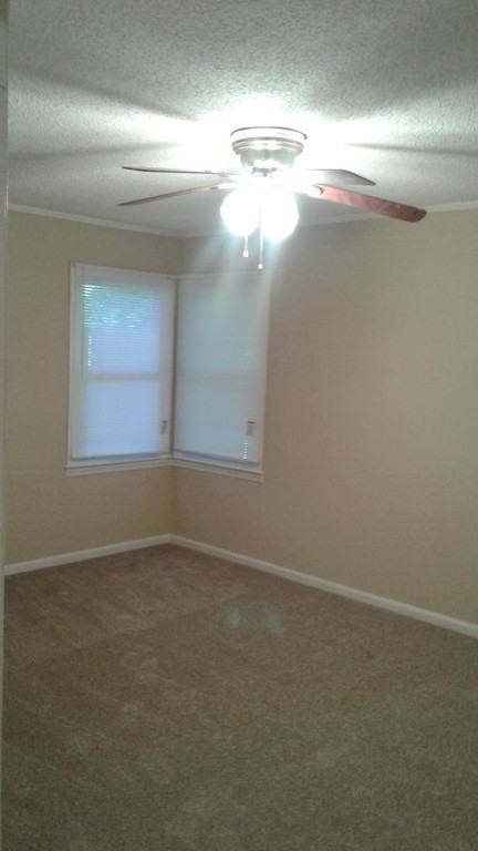 1539 Morningside Rd #1 - Photo 5 of 7