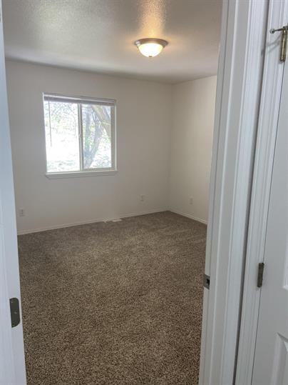 155 Dewey St #2 - Photo 6 of 7