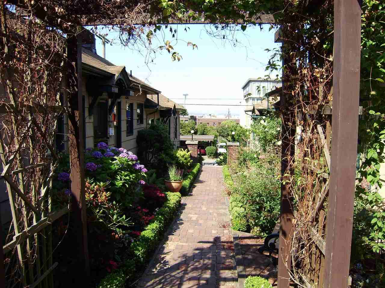 Summit Terrace - Photo 3 of 6