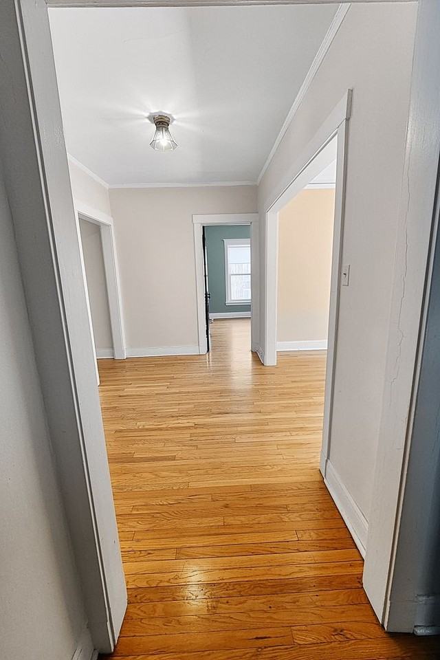 1302 W Rosemont Ave - Photo 4 of 30