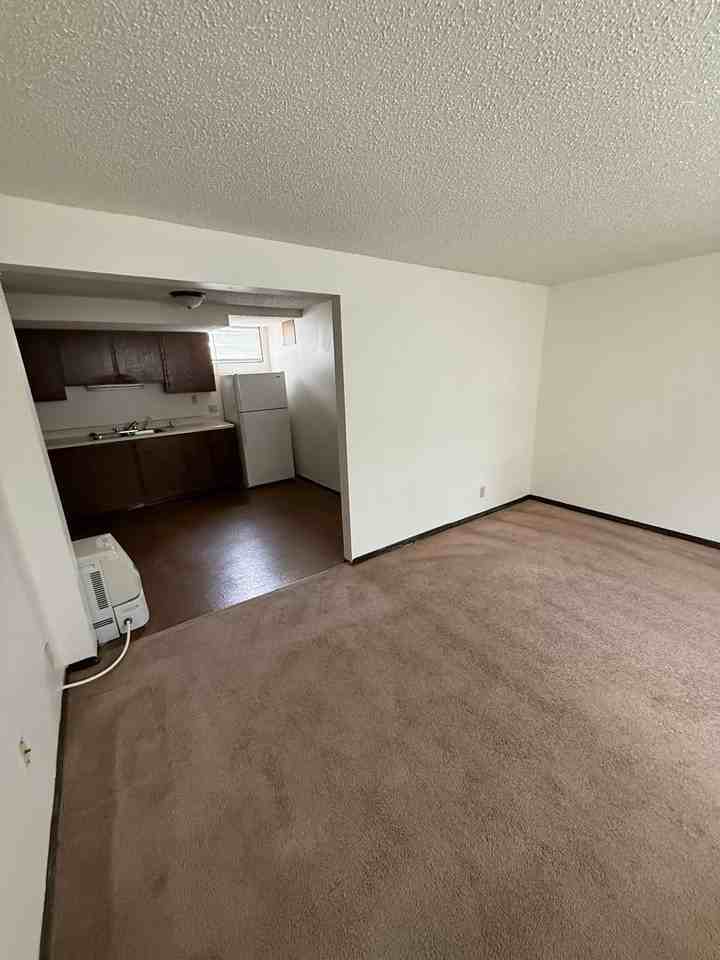 Mason City 5-Unit (407 5th) - Photo 3 of 10