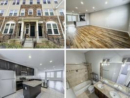 featured image of 42212 Water Iris Ter #42212