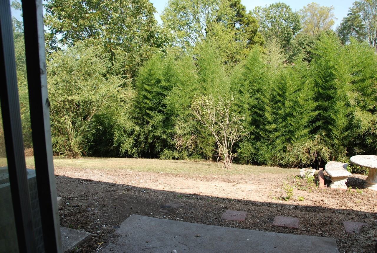 809 Dockery Ln Se - Photo 4 of 4