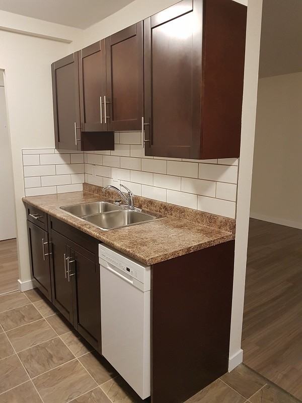 456 Langevin - Photo 4 of 13