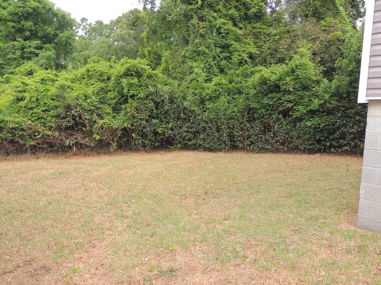 1505 Murchison Road Teachers Dr - Photo 4 of 11