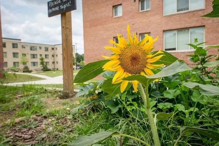 Wheeler Terrace - Photo 7 of 17