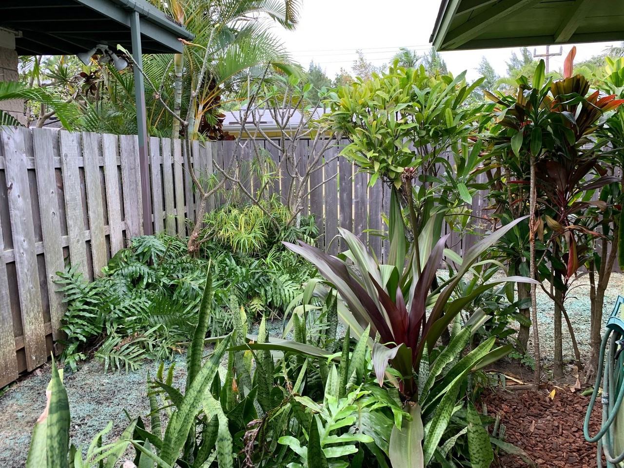 17 S Kalaheo Ave - Photo 7 of 10