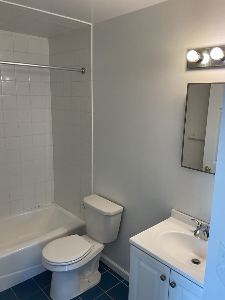 254 Bloomfield Ave #4 - Photo 4 of 11