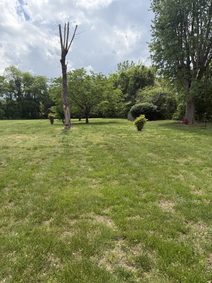 453 Old Morrison Rd #NA - Photo 4 of 29