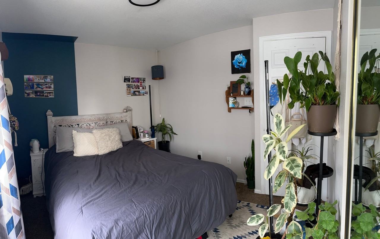 11584 Oswego St - Photo 2 of 15