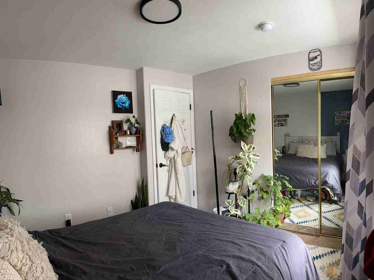 11584 Oswego St - Photo 3 of 15