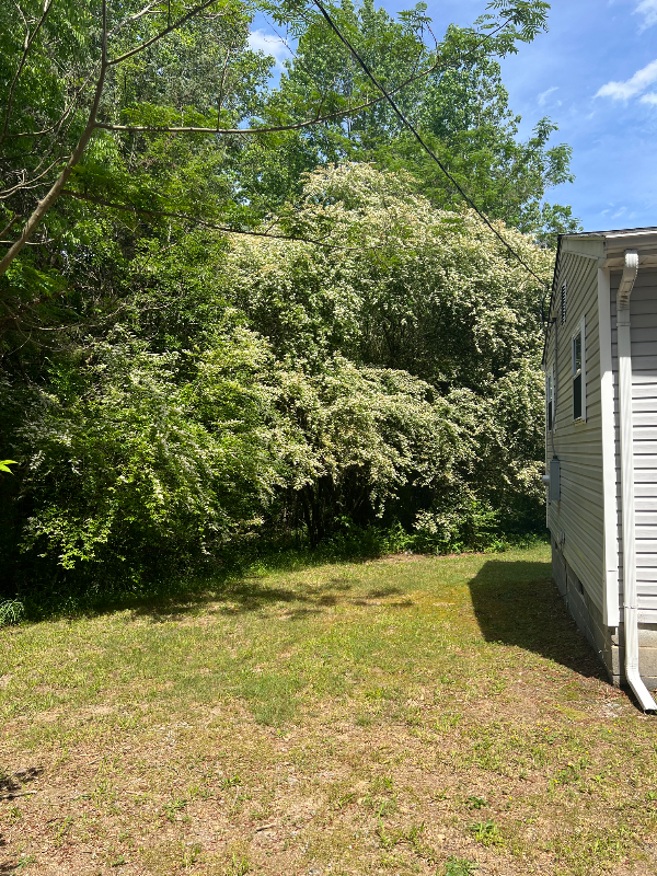 499 Jones Mill Rd - Photo 3 of 16