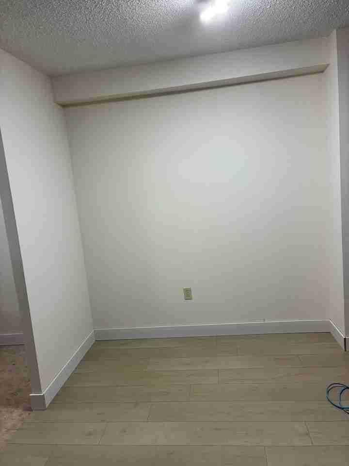 335 Driftwood Ave - Photo 3 of 8