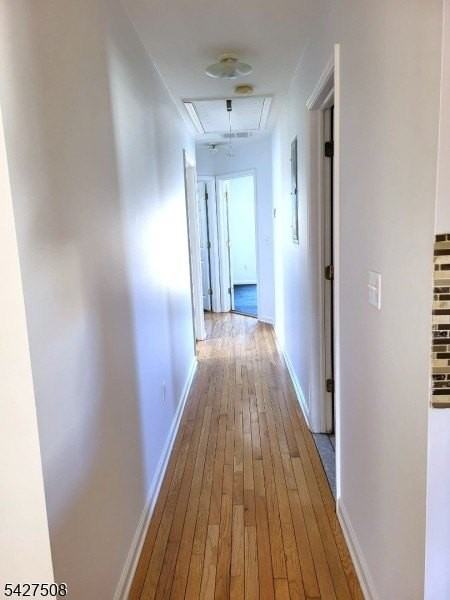 1083 Lafayette St - Photo 7 of 19