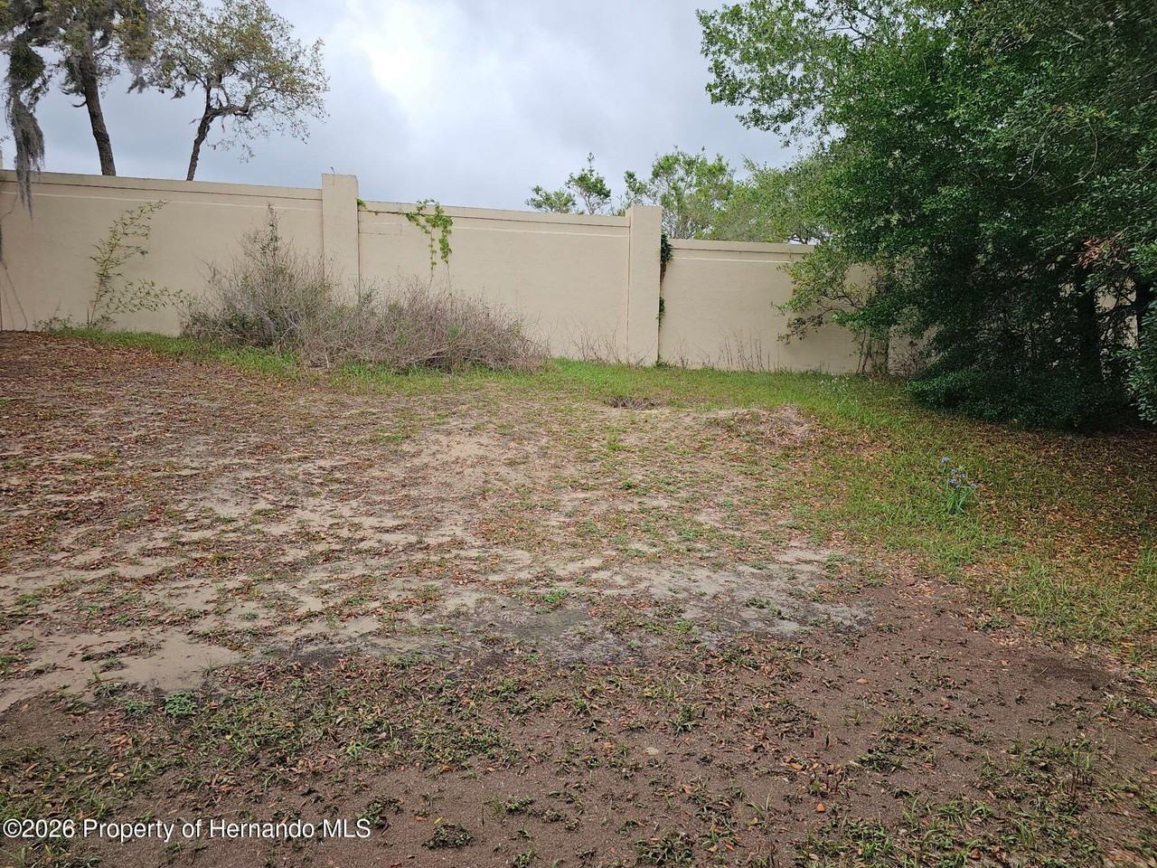 7477 Canterbury St - Photo 6 of 21