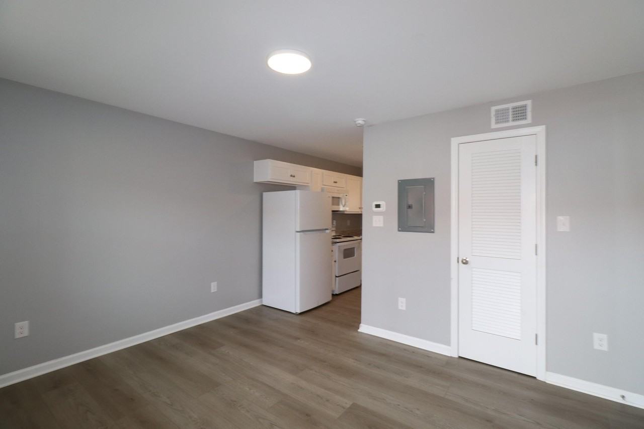 203 S 1st St #207 - Photo 2 of 10