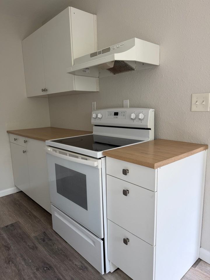 2412 Azalea Garden Rd #205 - Photo 4 of 10