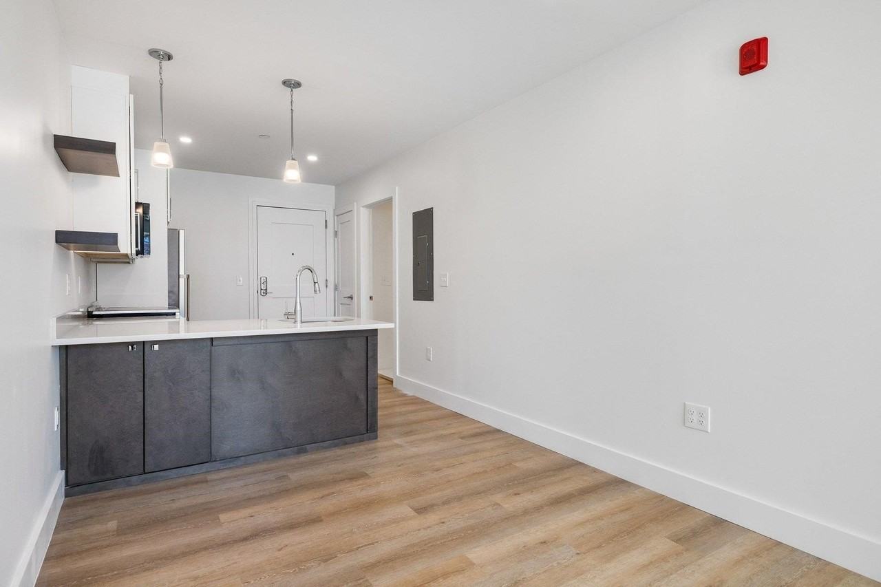 238 Deer St #205 - Photo 6 of 21