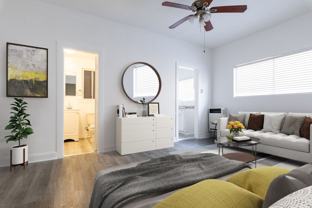 Charming and Affordable Studios - Photo 1 of 1