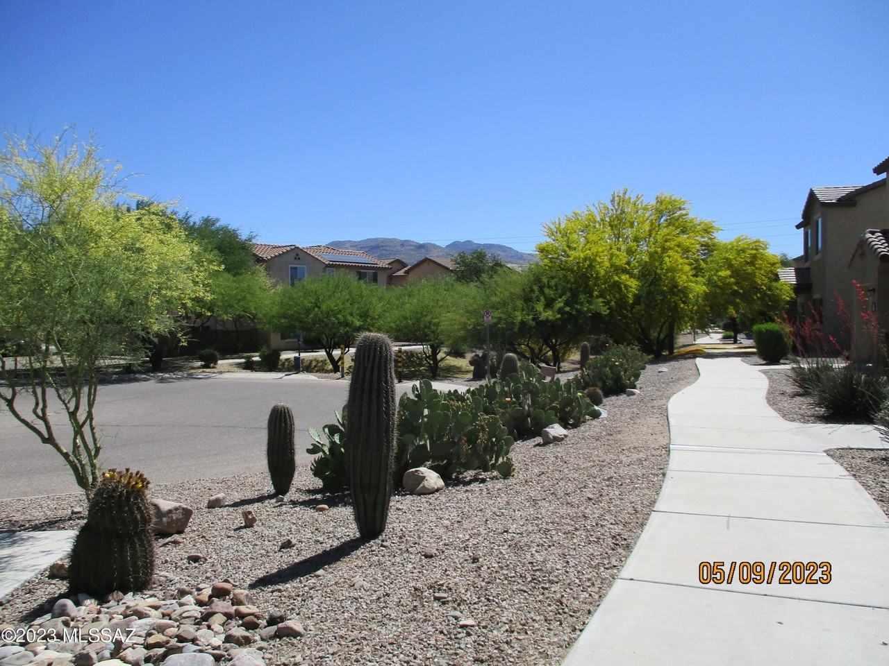 10981 E Gray Mare Trl - Photo 2 of 31