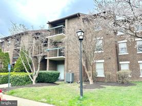 7917 Coriander Dr #202 - Photo 1 of 1