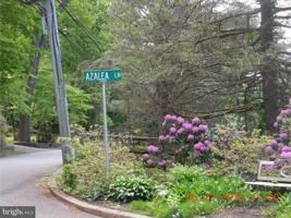 featured image of 8 Azalea Ln