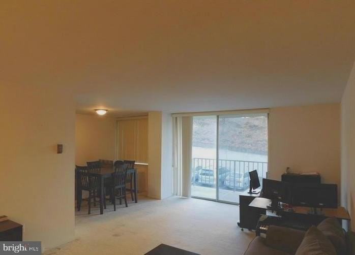 5565 Columbia Pike #310 - Photo 3 of 9