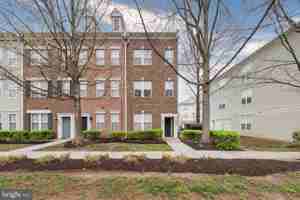 featured image of 42461 Rockrose Sq