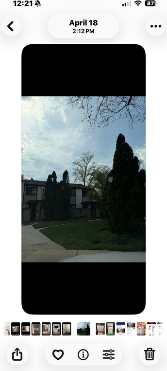 706 Bismark Way - Photo 6 of 21