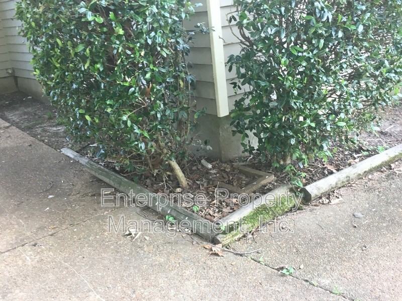 7019 Shadow Oaks Dr - Photo 3 of 21