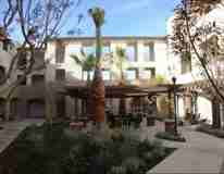 Palo Verde - Photo 1 of 1