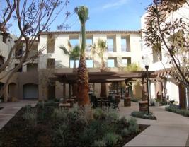 Palo Verde - Photo 1 of 1