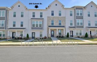 250 Cobalt Dr - Photo 1 of 1