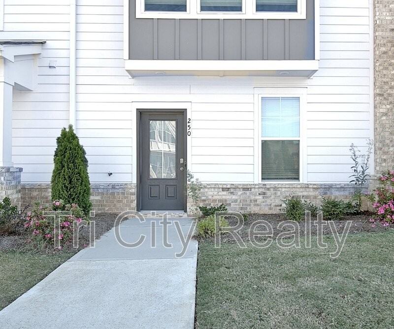 250 Cobalt Dr - Photo 3 of 50