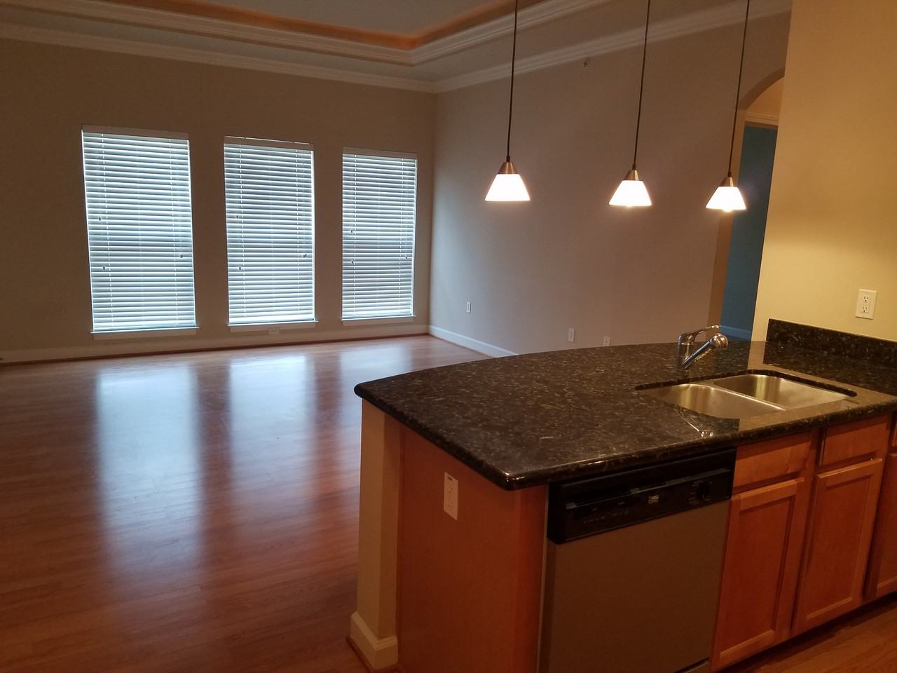 2756 Mcknight Crossing Ct - Photo 3 of 25