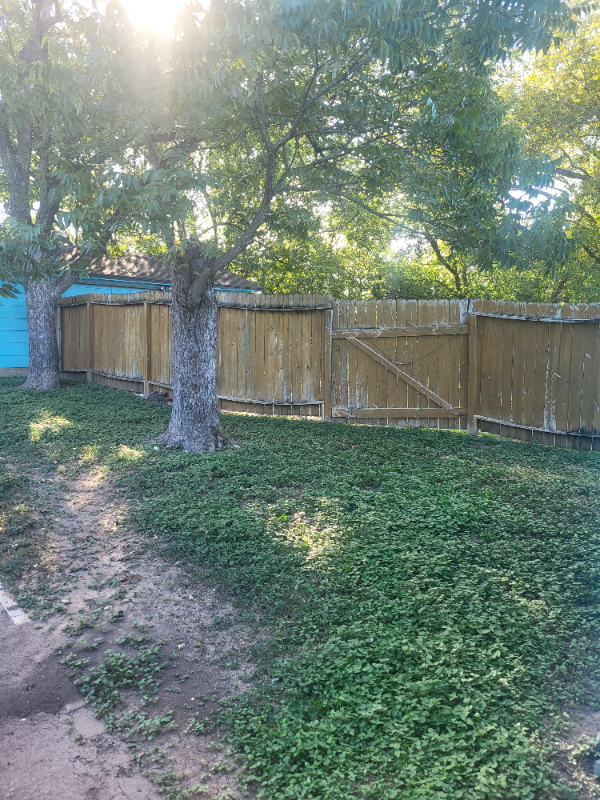 214 Earlyway Dr - Photo 7 of 30