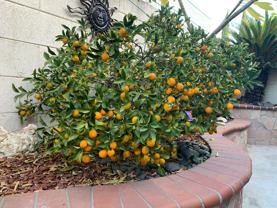 8923 Grandville Cir - Photo 1 of 1