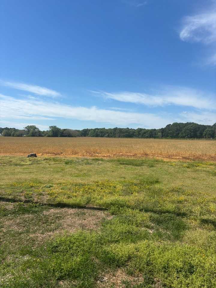 56 Windmill Point Rd - Photo 2 of 7