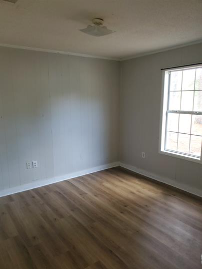 131 DRIVE 984 - A36 #A36 - Photo 6 of 6