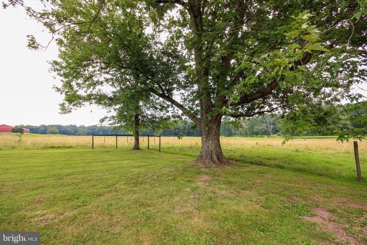 892 Deer Run Rd - Photo 3 of 29