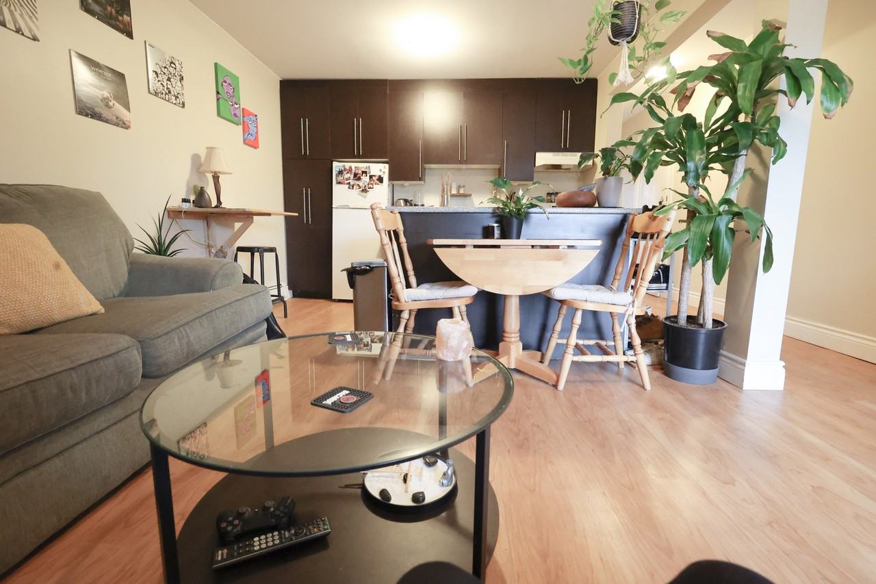 164 Arthur Street #6