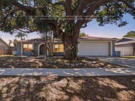 featured image of 612 Limetree Dr