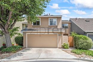 502 Pine Wood Ln - Photo 1 of 1