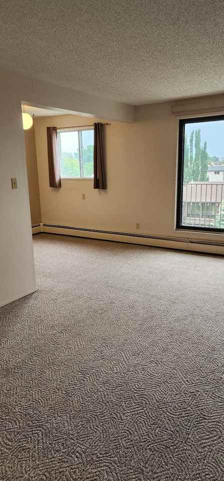 3610 43 Avenue Northwest 401, Edmonton, Alberta, Canada, T6L 5T2 - Photo 7 of 17