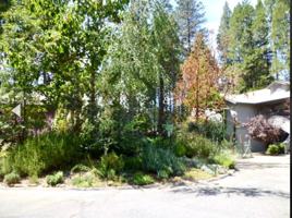 featured image of King Hiram Ln