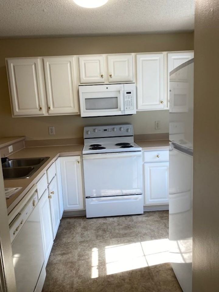 4609 Mcclelland Dr - Photo 3 of 16