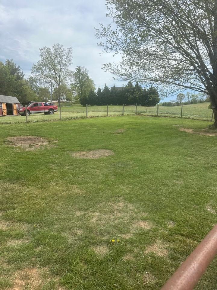 3822 Borden Grant Trl - Photo 4 of 18